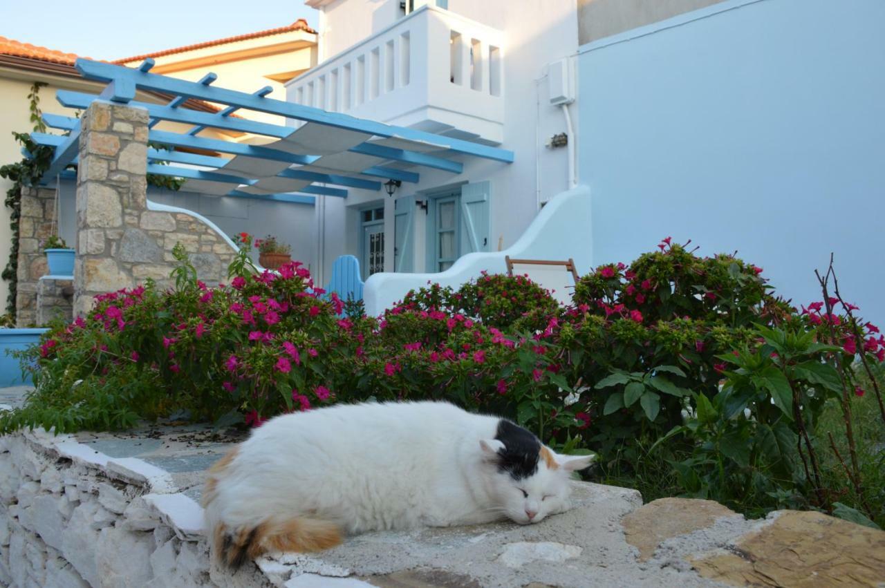 Alónnisos Stella'S Traditional House. מראה חיצוני תמונה
